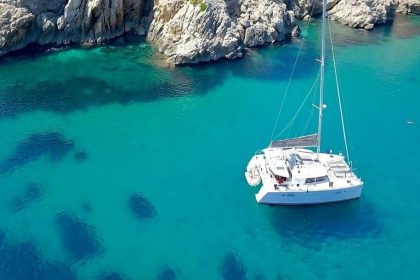 Wildlife Encounters You Only Get From a Boat