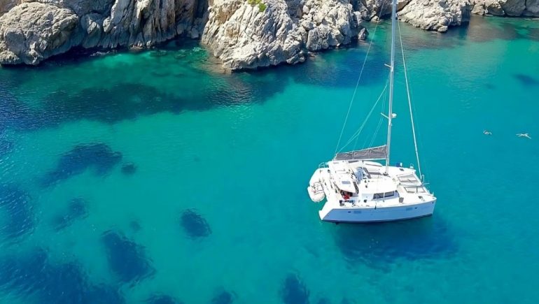 Wildlife Encounters You Only Get From a Boat